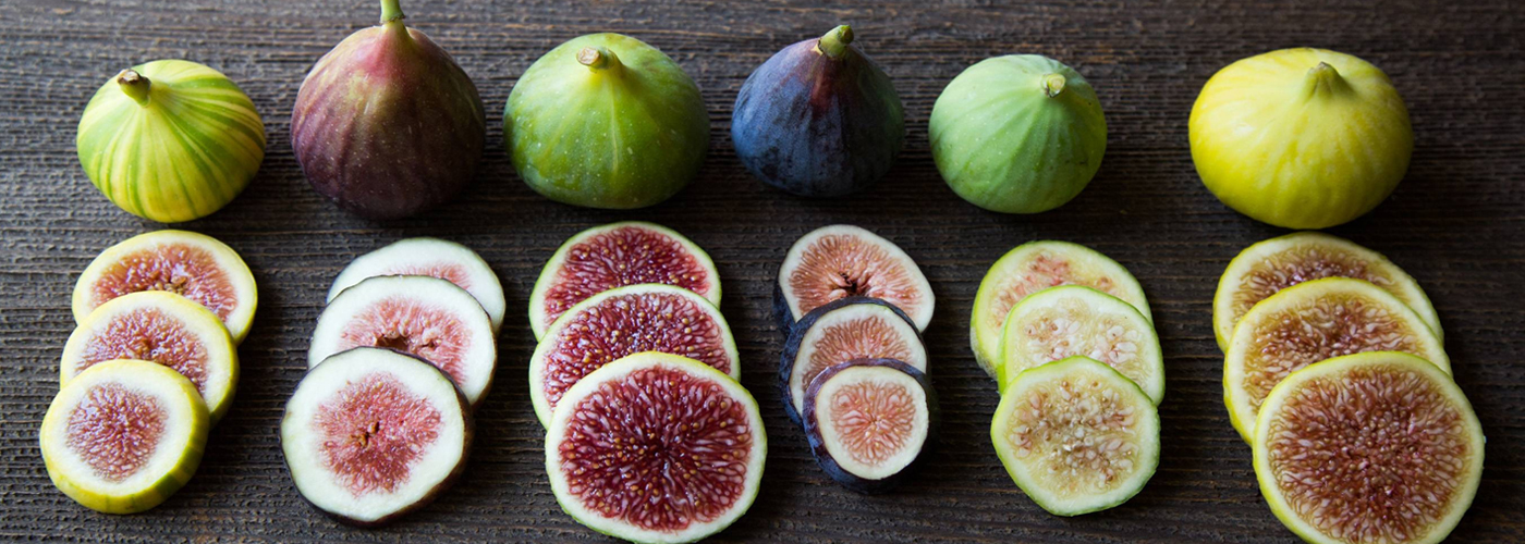 athi chedi sagupadi, athi chedi paramarippu, fig plant sellers, fig fruit sellers, fig plant wholesale in chennai tamilnadu, fig plant farmer, athi pazha vivasayam in tamilnadu, athi pazham sagupadi, anjeer plant wholesaler in tamilnadu, athi nadavu murai, athi sagupadi in tamilnadu, athi chedi kidaikum idam, athi chedi sagupadi seivathi eppadi, athi chediyin price, athi chediyin vilai, athipalam chedi, athipalam cultivation, fig farming in tamilnadu, fig farming profit per acre